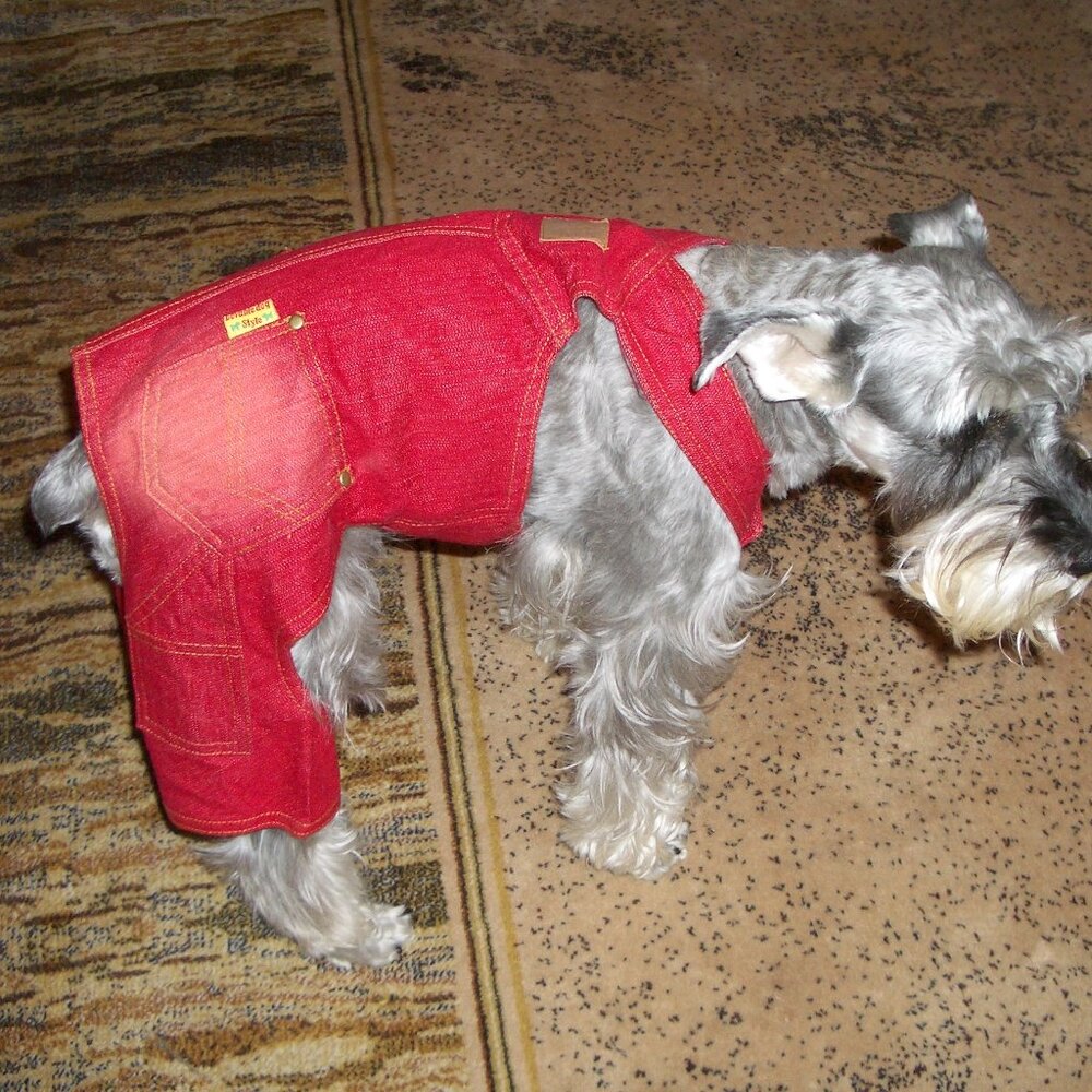 Dog Onesie Red Denim